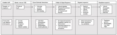 How the Pacific Oyster Responds to Ocean Acidification: Development and Application of a Meta-Analysis Based Adverse Outcome Pathway